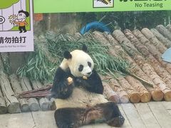 -大连森林动物园