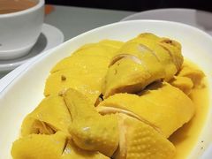 东江沙姜鸡-日昌餐馆(Mini西点茂店)