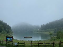 -武陵山森林公园