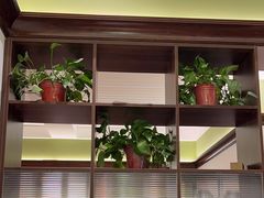-沈家花园如皋菜(君御豪庭店)