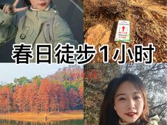-青龙山国家森林公园