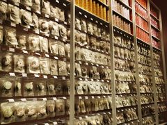 -KKV(深圳宏发大仟里店)