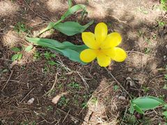 -长春公园(普阳街道)