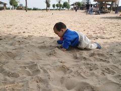 -古柏渡飞黄旅游区