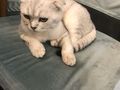 -小时光咖啡馆(北锣鼓巷店)