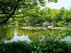 -上海吴淞炮台湾国家湿地公园