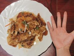 -邵年鸽(杨庄店)