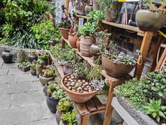 -华冠悠岚·庭院餐厅(青城后山店)