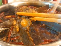 -大龙火锅(老店)