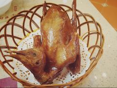 乳鸽-点都德(千灯湖环宇城店)
