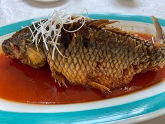 罾蹦鲤鱼-红旗饭庄