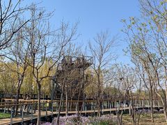 -东郊湿地公园