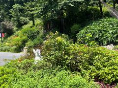 -广州市白云山风景名胜区