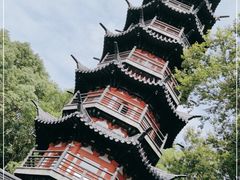 -上海佘山国家森林公园西佘山园