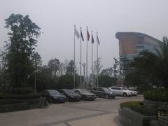 android_upload_pic-东旭阳光国际大酒店