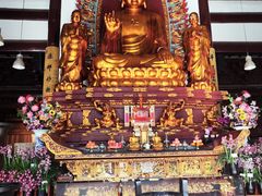 -亭林园-华藏寺