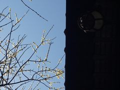 -胡雪岩故居