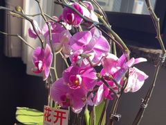 -恒记饭店·海鲜明档(淹城店)