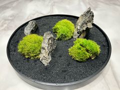 -青玉案·生日宴·纪念日·家宴主题餐厅(太湖西路店)