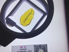 -上海昆虫博物馆