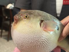 -永安鱼庄·镇江菜(东吴路店)