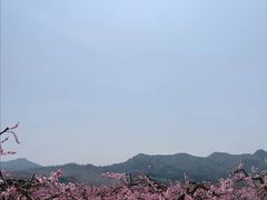 -河口景区