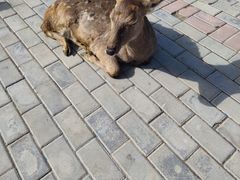 -中华郡文化旅游景区