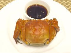 -新发展亚太JW万豪酒店·福苑咖啡厅