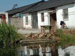 -乡乐园蟹庄·阳澄湖农家乐