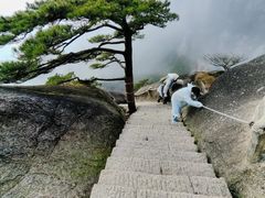 -黄山风景区