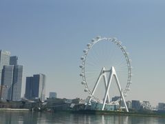 -金鸡湖桃花岛
