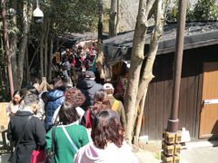 -普陀山慧济禅寺