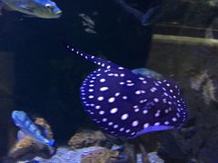 -华夏文旅西安度假区