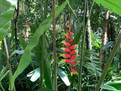 -中国科学院西双版纳热带植物园