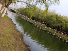 -滨湖塘西河公园