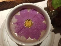 -隐溪茶馆(静安寺店)