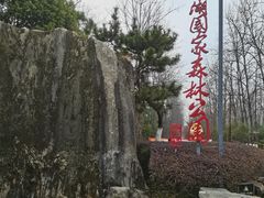 -合肥滨湖国家森林公园