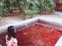 -龙达温泉生态城