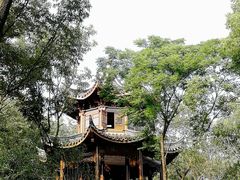 -上海市保健医疗中心(华东疗养院)