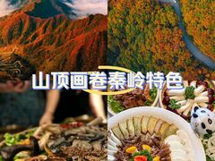 -秦岭风景区