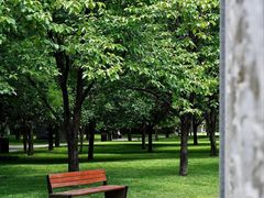 -唐城墙遗址公园