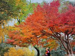 -西安市纺织公园