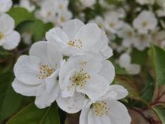 -鹫峰国家森林公园