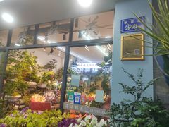 -溪岸路花鸟市场