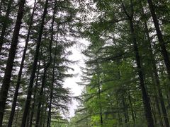 -洛阳白云山景区