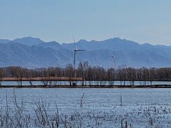 -野鸭湖国家湿地公园