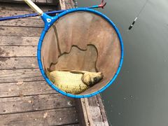 -酷鱼垂钓CLUB(朝阳区博大路店 )