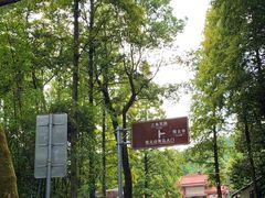 -缙云山景区