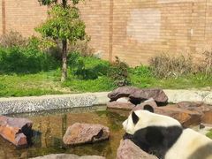 -苏州太湖国家湿地公园