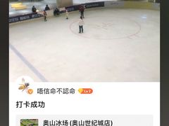 -奥山冰场(奥山世纪城店)